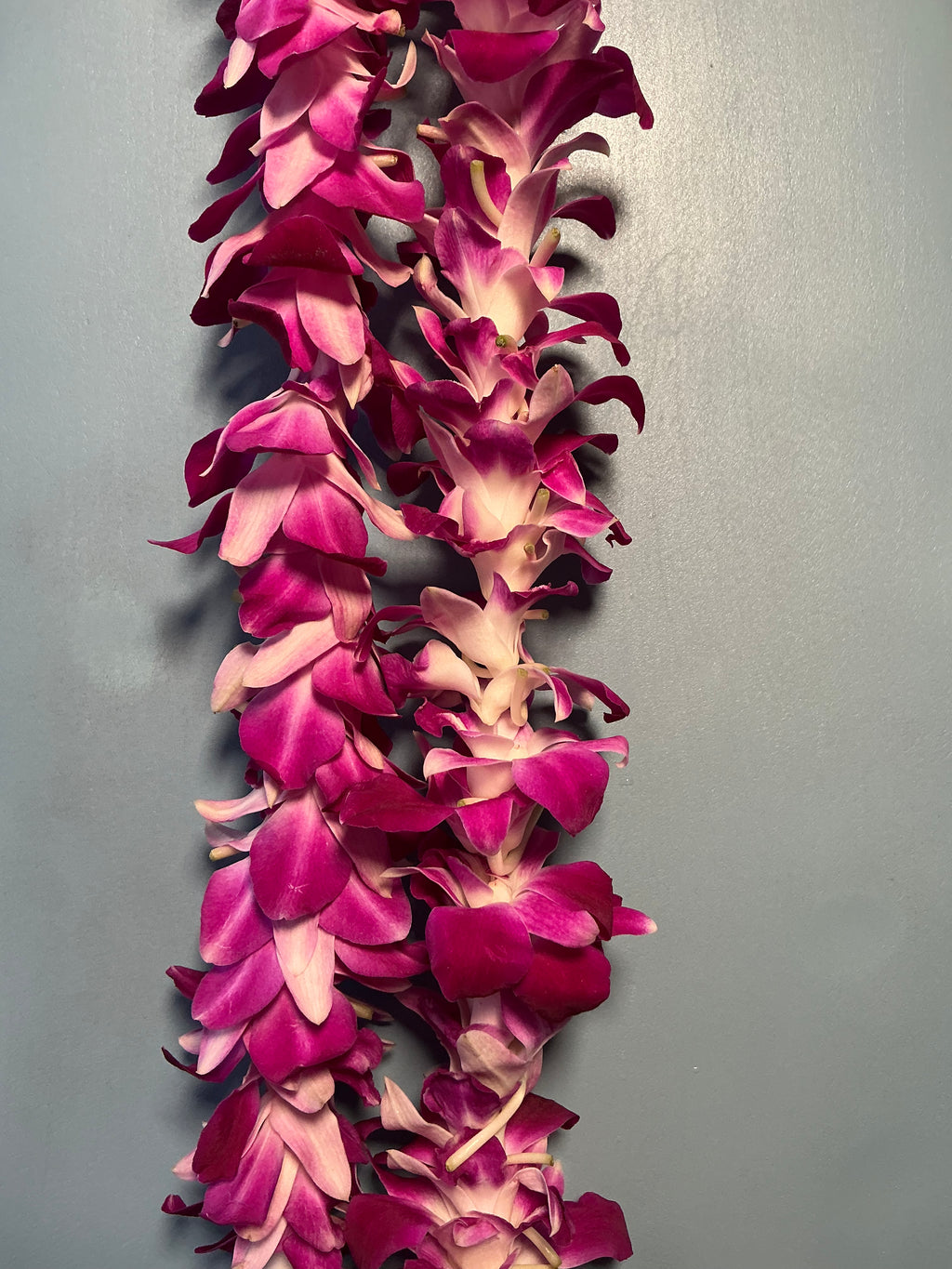 Single Orchid Lei