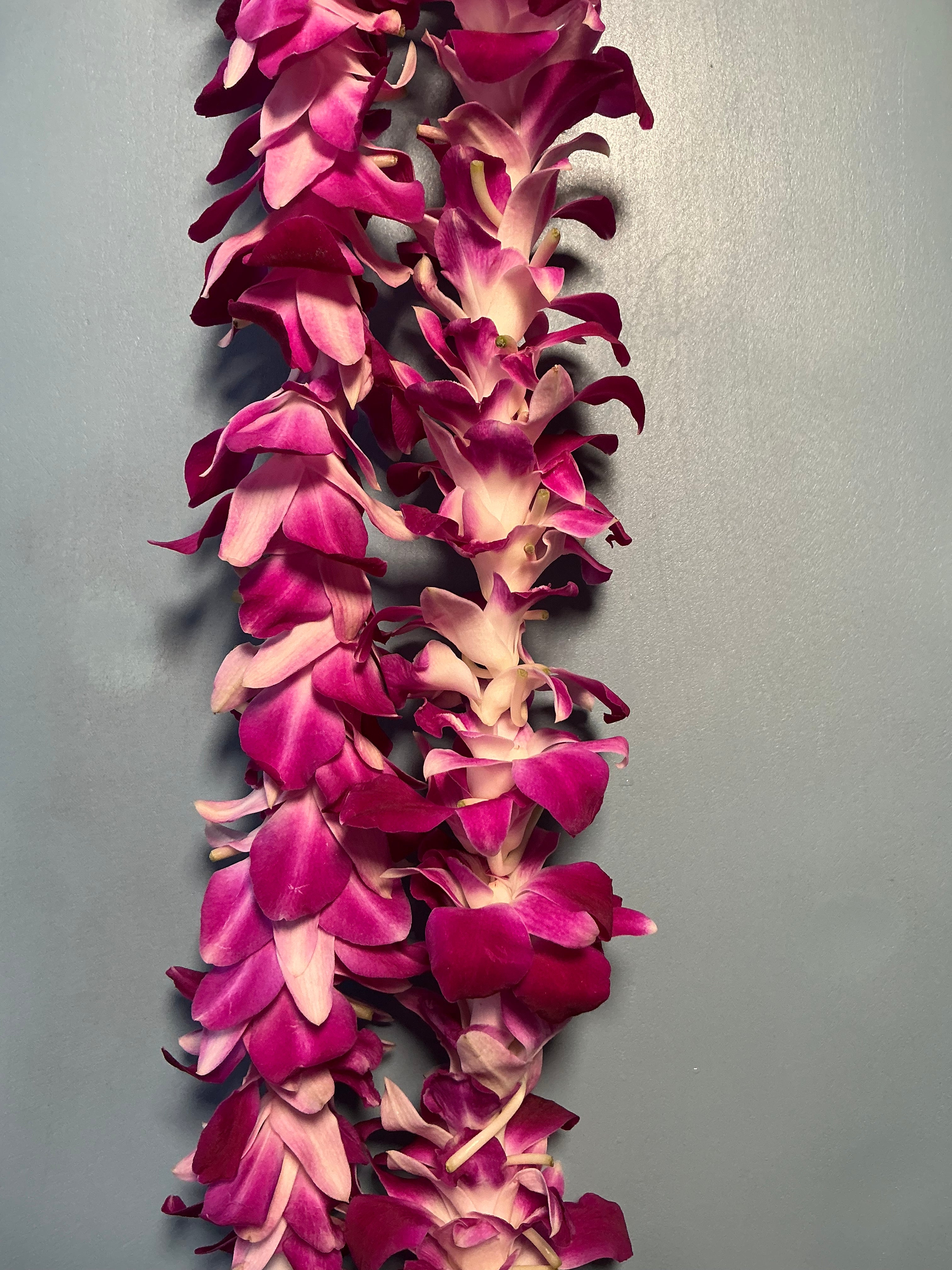 Single Orchid Lei