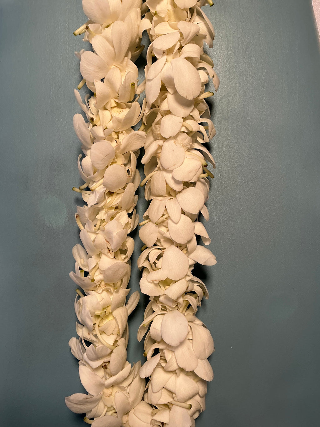 White double orchid lei